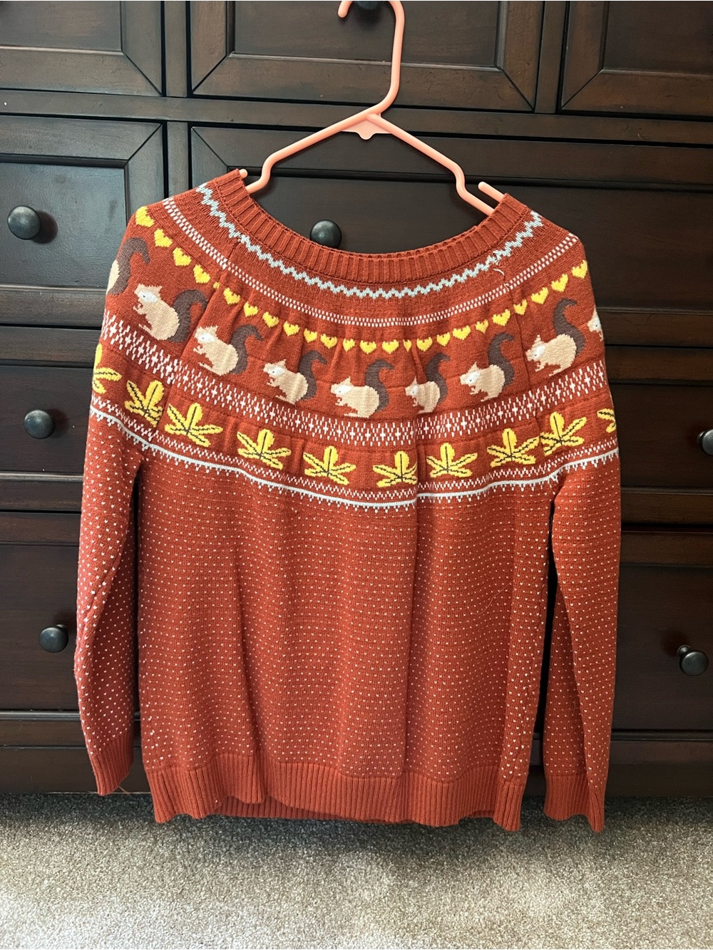 Rust Squirrel Yoke Sweater - Women